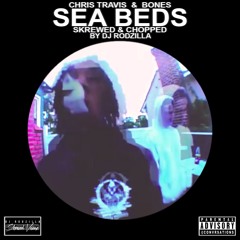1. Chris Travis & Bones - FijiFalls (Skrewed & Chopped)