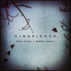 Wren Sound x Barrie Lindsay - Kingfisher