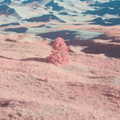 GFOTY - Bobby (Jake Flip)