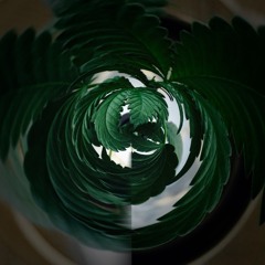 BienAdicto Ft Daniel Borbon -