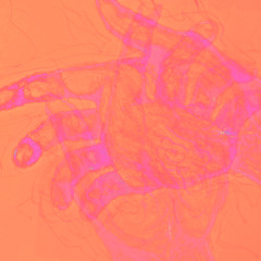 Tasting Colors - Extinctologist