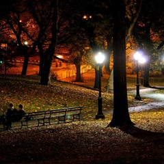 Adult Swim Bump 3 AM Walk