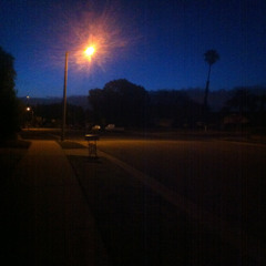 Adult Swim Bump Twilight