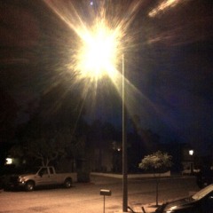 Adult Swim Bump Street Lights