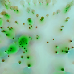 Protons