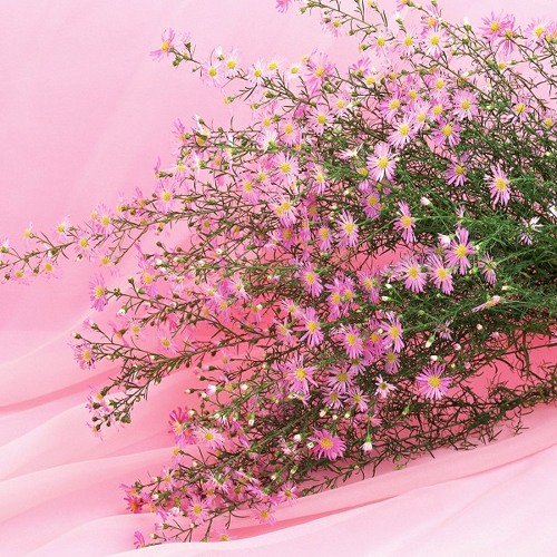 Apres La Pluie - Andre Gagnon