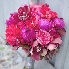 toca's miracle (dj antoine - m