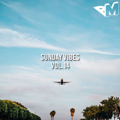 Sunday Vibes Vol. 14 (Daps & Pounds Edition)