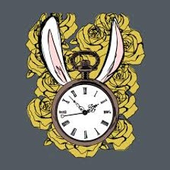 Follow the White Wabbit(Full Length Vers) - Progressive House/Trance/Techno and Breaks Set