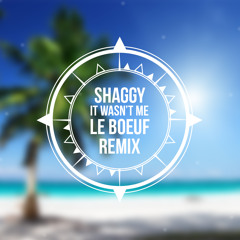 Shaggy - It Wasn't Me (Le Boeuf Remix) (Download Full Version)
