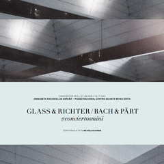 DJ Set 27-3-2015 - Glass & Richter after show @ Museo Reina Sofía
