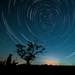 Skeptical-Ειδα πολλα