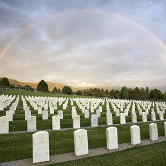 Voice with an Orchestra