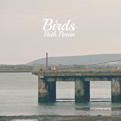 Beth Perrin - Birds