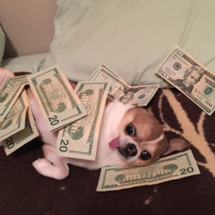 Independent Artists to support