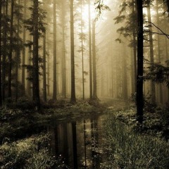 Preludio Agustin Barrios Guitarra Clásica