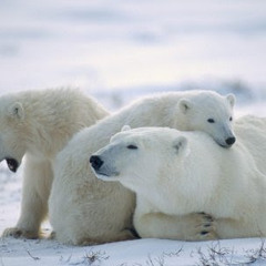 James Blunt - I Really Want You (cover)