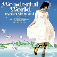 Ryoko Shintani - Wonderful World