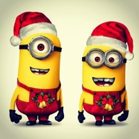 Kevin Laurine Bregaint S Stream