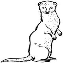 StrzooPodcast #002 by SCORD