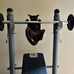 Mélange de Chiptune by Maleficat version 1.2