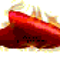 كل دقة فى قلبى