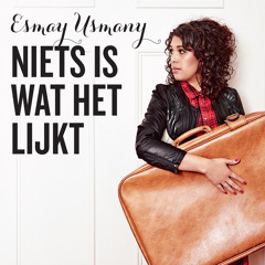 Niets Is Wat Het Lijkt