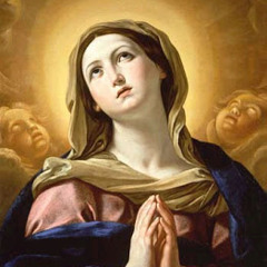 Lino X HooodLuum Yayo