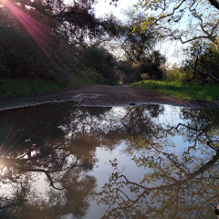 inland trail