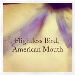 Flightless Bird, American Mouth - Iron & Wine cover (feat. PPN)