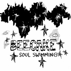 Soul Swimming - Beecake (Billy Boyd's band)