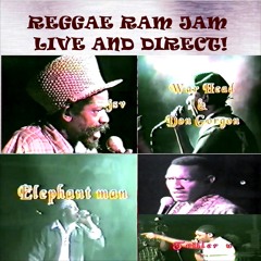 Reggae Ram Jam Live! Cocoa Tea, Ninja Man, Merciless, Elephant Man, Lexxus, Professor Nuts, More!