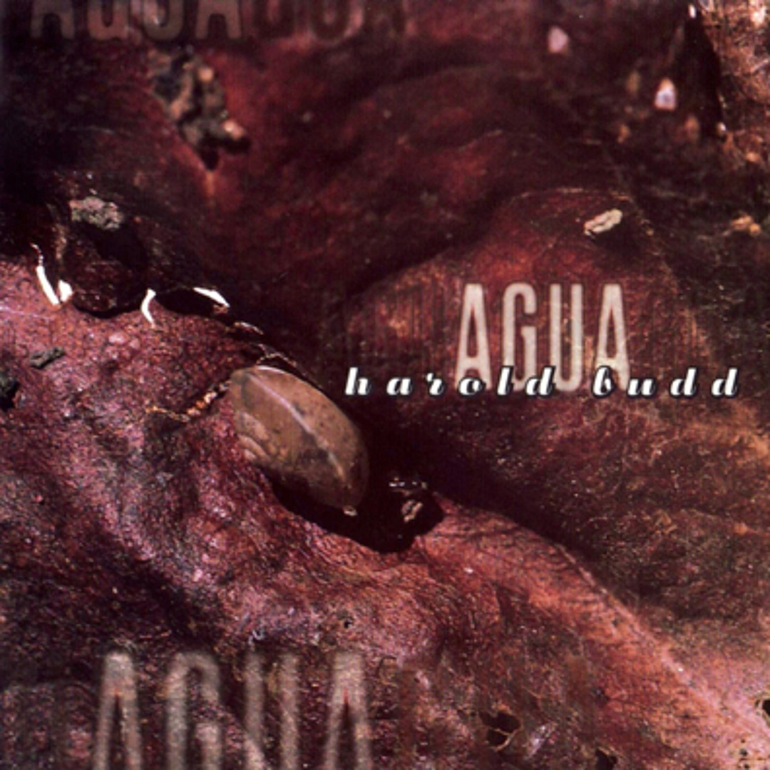 Stream Agua by Harold Budd | Listen online for free on Stream Agua by Harold Budd | Listen online for free on