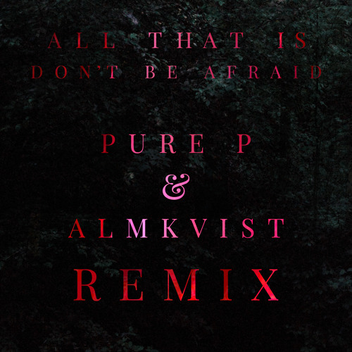 All That Is - Don´t Be Afraid (Pure P & Almkvist Remix)