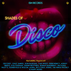 Im Low (Featured on Shades Of Disco, ISM Records)