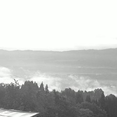 TEA Podcast: Wata Igarashi