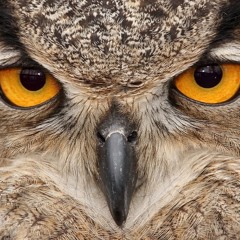 Tujamo - Who(Kike Boost Trap Remix)