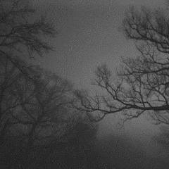 Android 16 at Sad sessions