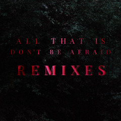 Don't Be Afraid Remixes
