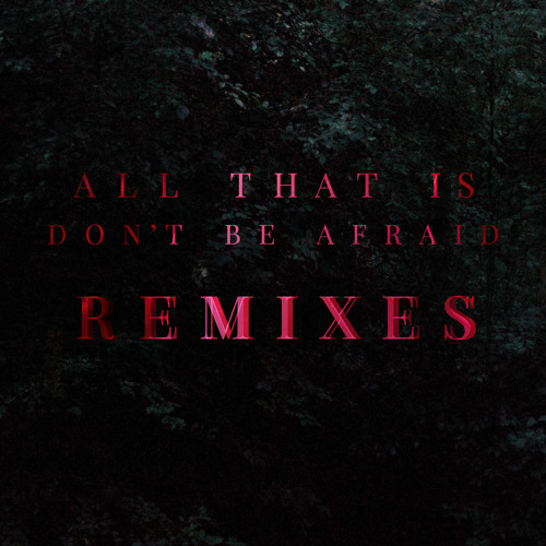 Don't Be Afraid Remixes