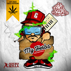 MY HERBS MIXTAPE - CHEK SELECTAH