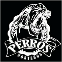 CAMMBIS & XPERTO - KUMBALA (producido por Xbeatz)