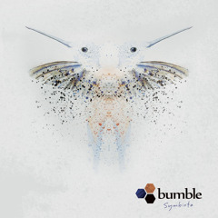 Bumble - Symbiota (Album Preview)