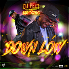 Dj PeeT Feat Big DowG - Down Low ( Prod Neto x Peet )