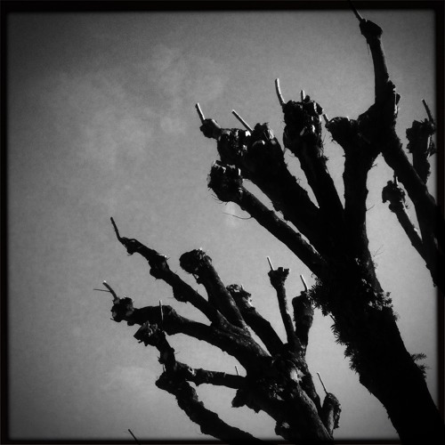 Porto Electronica Main Theme (Live @ Black Box, 2012)