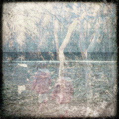 Afternight (ft. wildsilences)