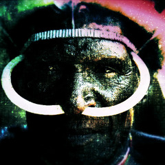 KUNTA KINTE (warrior Style)