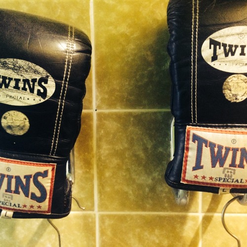 A Mixtape For Serial Experiments by THE TWINS / January 2015