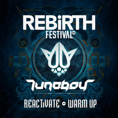 Tuneboy @ Rebirth Festival 2015 Warm Up | Reactivate stage