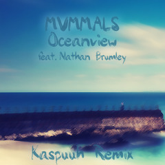mvmmals - oceanview  feat. nathan brumley (aiko remix)